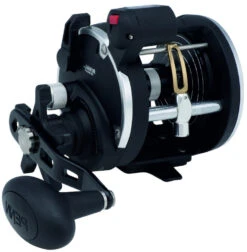 PENN RIVAL LEVEL WIND Rechtshand -MeerTackle Angebote Store 1404003a5Bj3T4MsS8MM 1280x1280