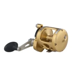 PENN Internationl VI - Multirolle -MeerTackle Angebote Store PENN International VIS 16 Gold 2018 1370776 alt2FeFLL73dkR3ue 1280x1280