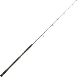 CANNE SPINNING PENN LEGION CAT GOLD VERTICAL