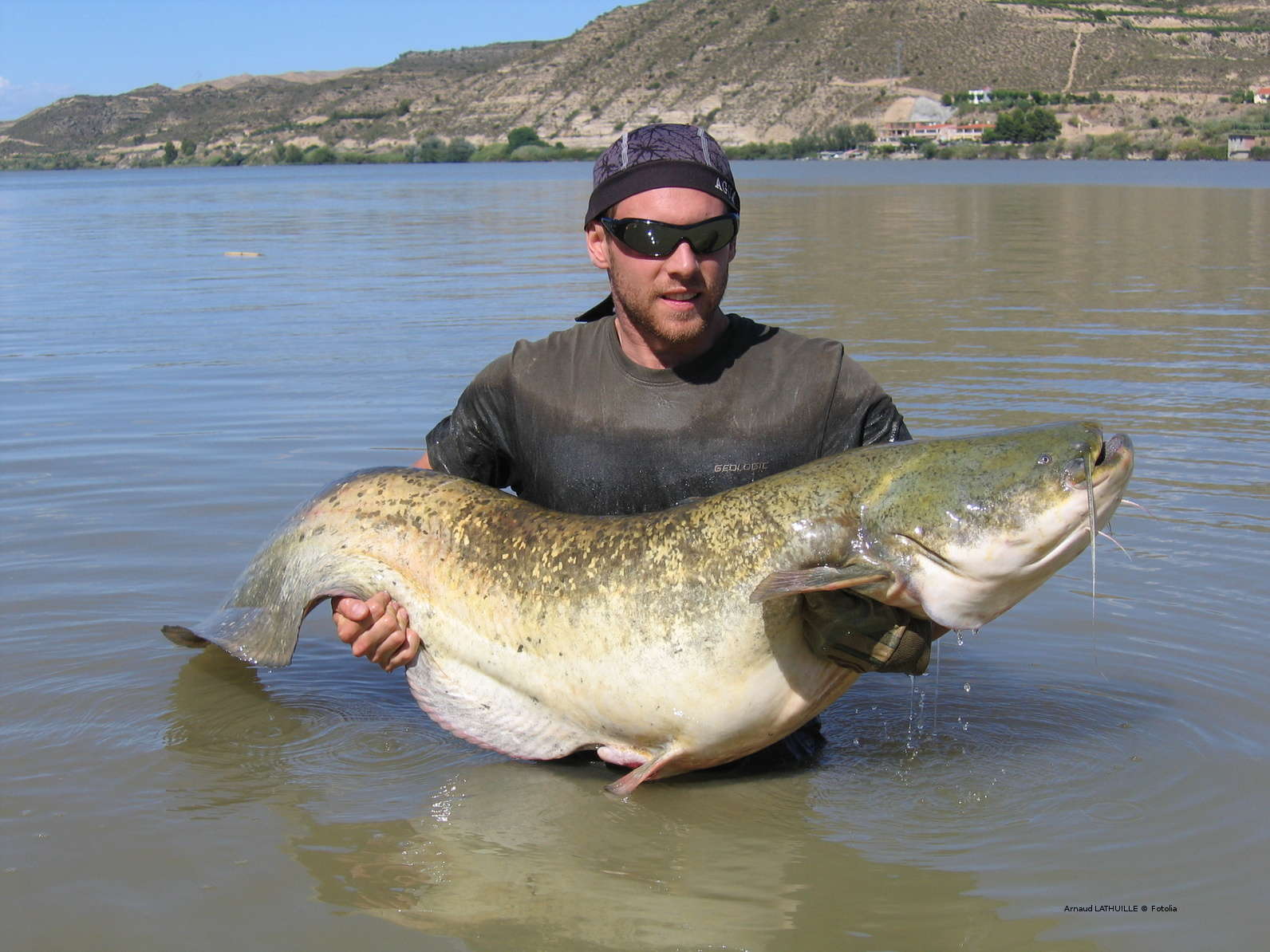 MeerTackle Angebote Store 3 MeerTackle Angebote Store -MeerTackle Angebote Store Welsangeln